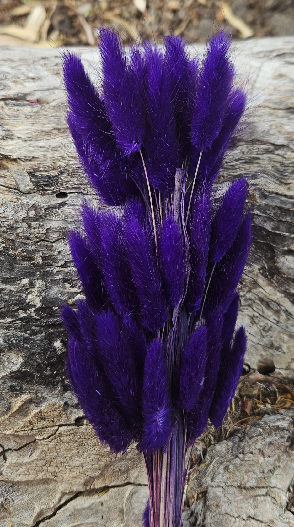 Bunny Tails/Pussy Tails - Deep Indigo Purple