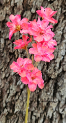 Handmade Flowers - Anemone - Bright Pink