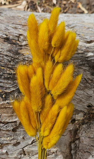 Bunny Tails/Pussy Tails - Mustard Yellow