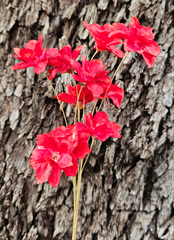 Handmade Flowers - Anemone - Ruby Red