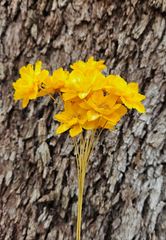 Handmade Flowers - Anemone - Daisy Yellow