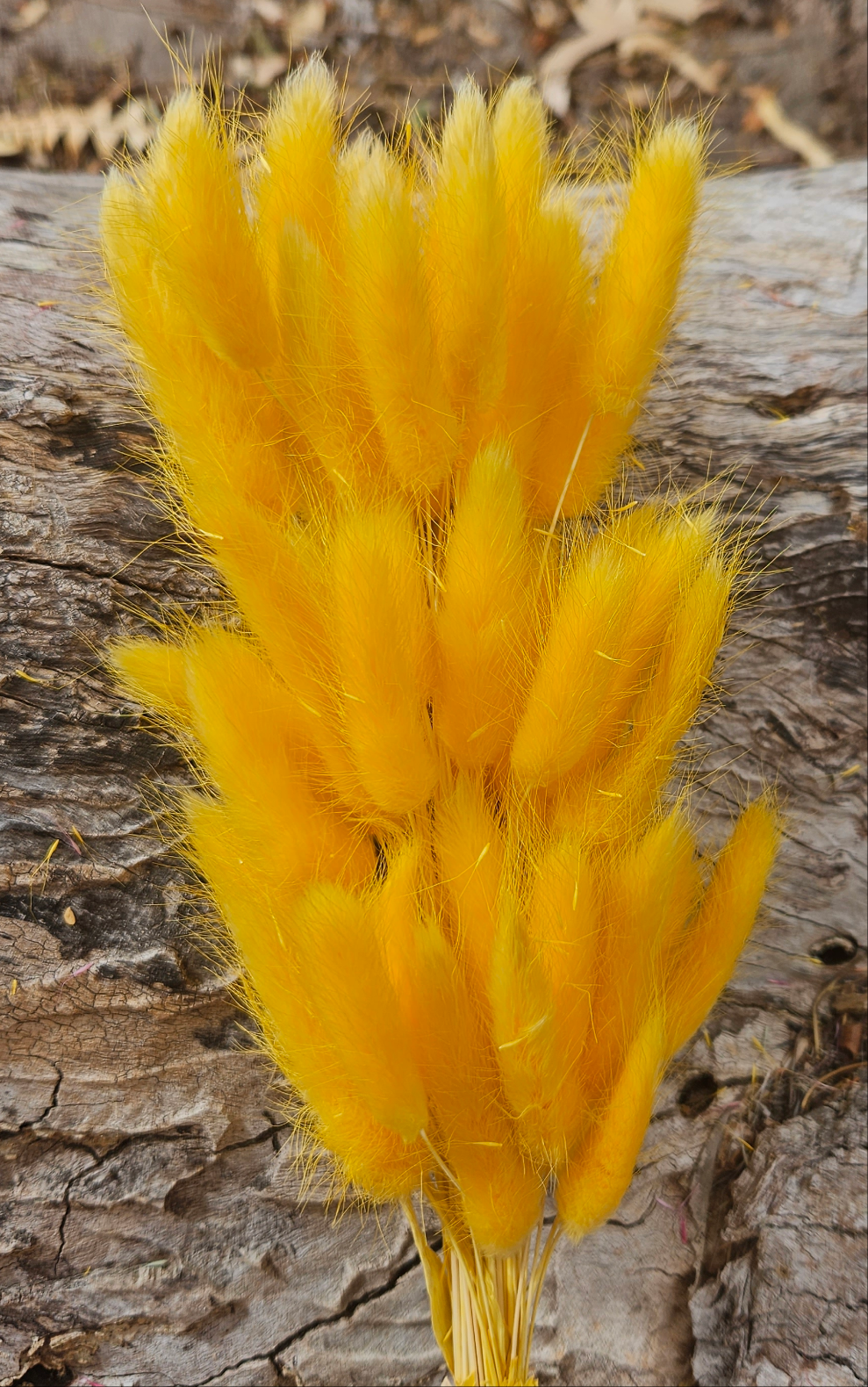 Bunny Tails/Pussy Tails - Bumblebee Yellow