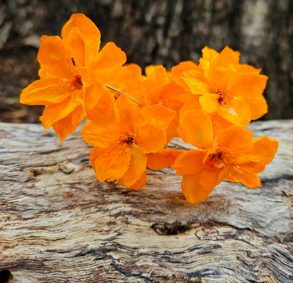 Handmade Flowers - Anemone - Marigold Orange