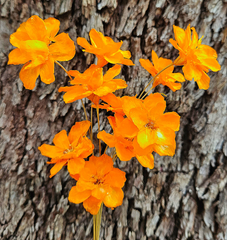 Handmade Flowers - Anemone - Marigold Orange