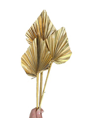 Palm  - Thin Stem Spear - Gold - 1 Stem