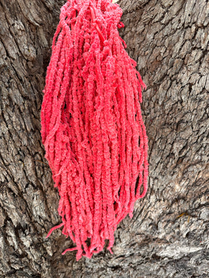 Amaranthus - Rosy Pink