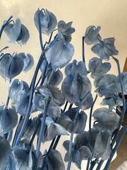 Chinese Lanterns - Cornflower Blue