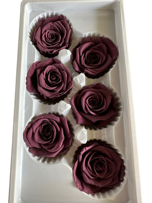 Roses Preserved - 6 pack - Aubergine Purple/Brown