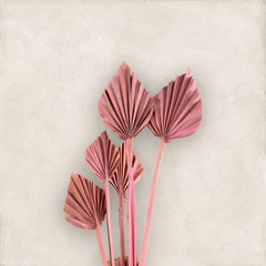 Palm - Mini Spear - Dusty Pink - 5-7 cm - 1 stem