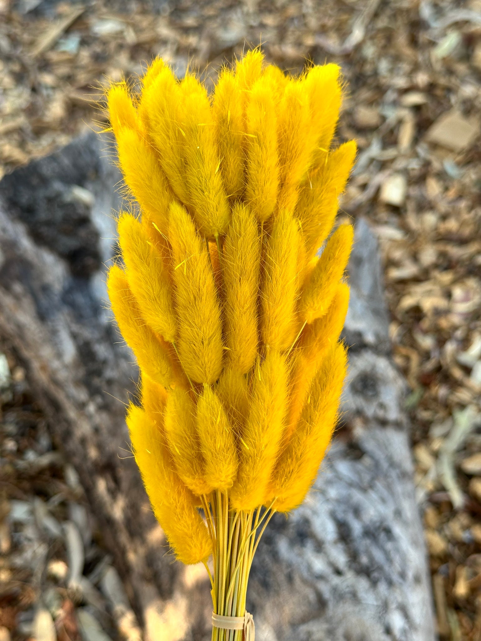 Bunny Tails/Pussy Tails - Bumblebee Yellow