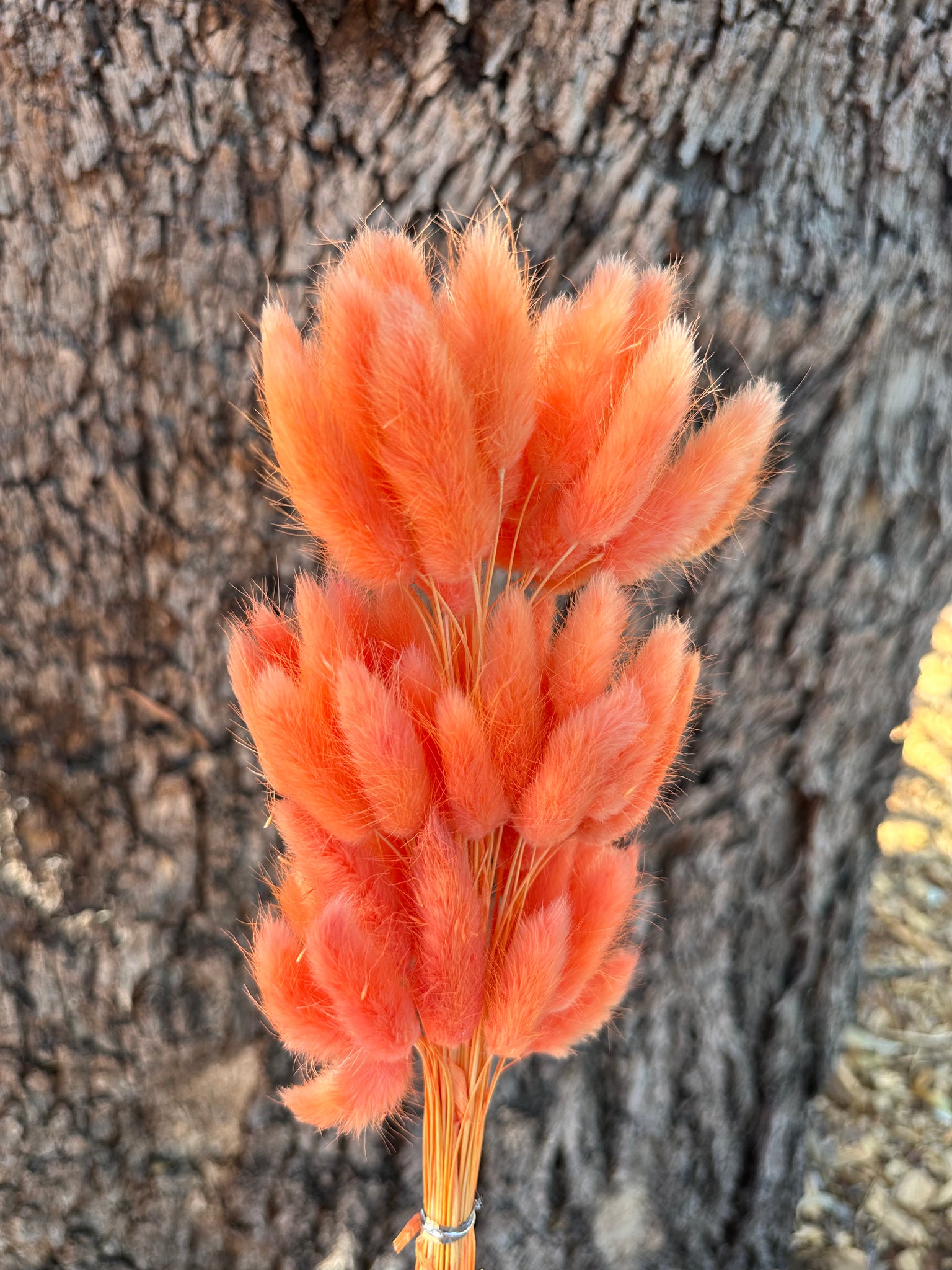 Bunny Tails/Pussy Tails - Sunset Orange Tones