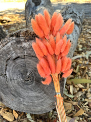 Bunny Tails/Pussy Tails - Sunset Orange Tones