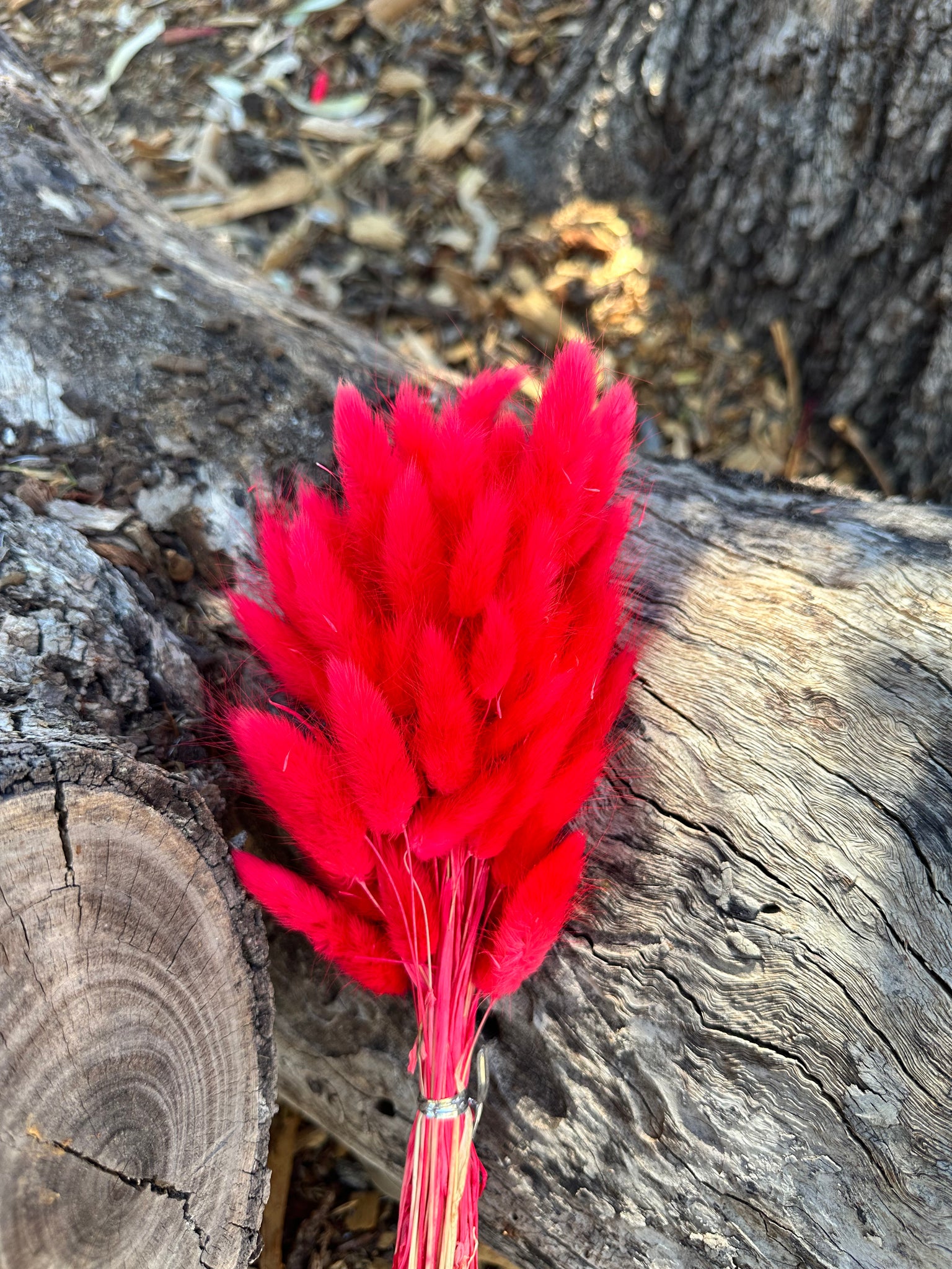 Bunny Tails/Pussy Tails - Scarlet red