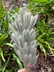 Bunny Tails/Pussy Tails - Soft Sage Grey
