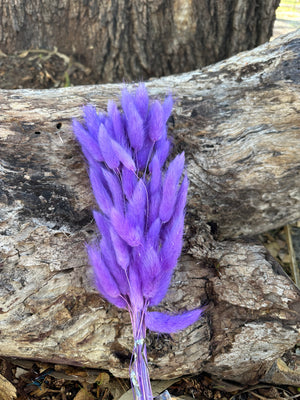 Bunny Tails/Pussy Tails - Purple