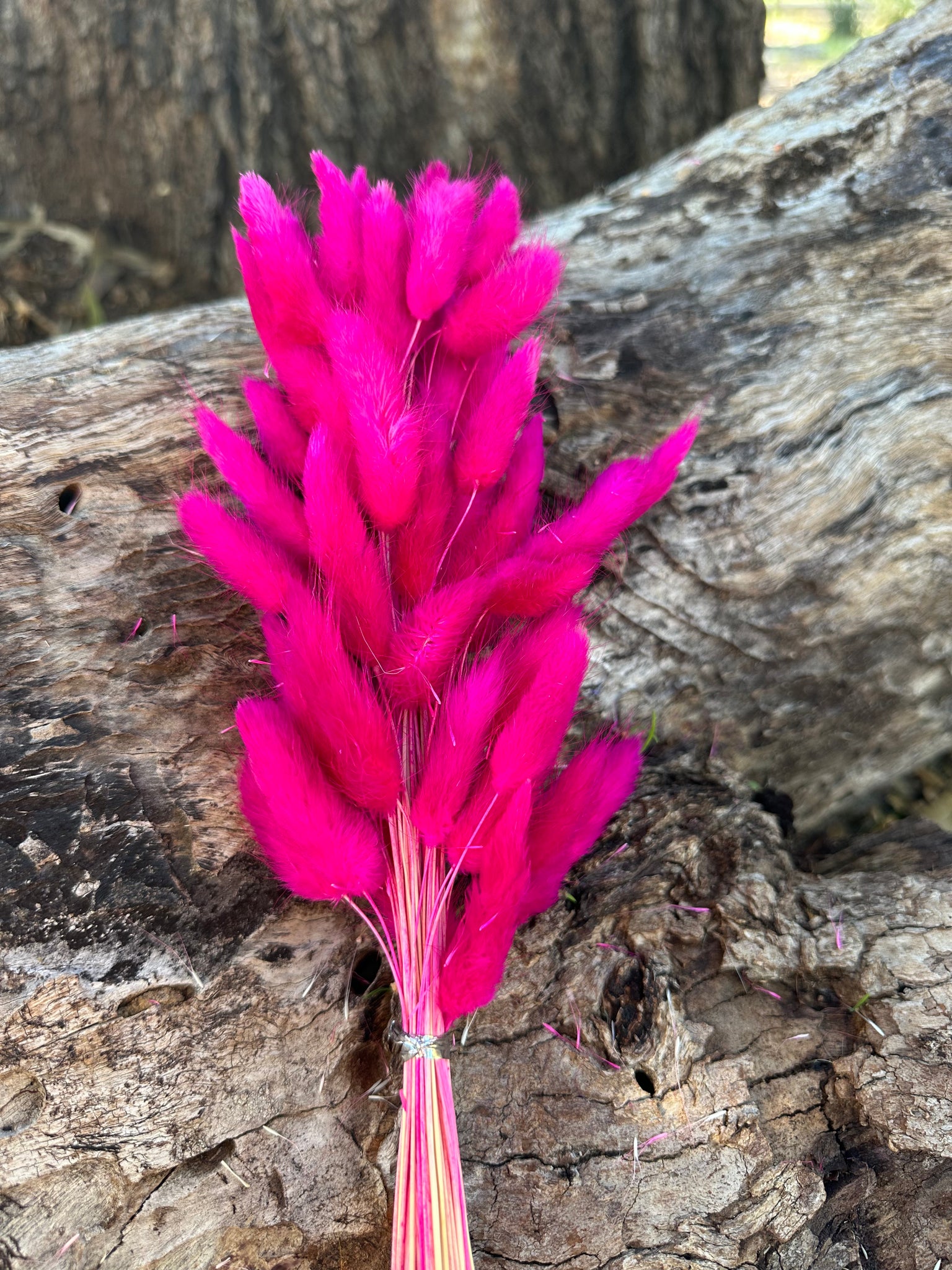 Bunny Tails/Pussy Tails - Fuchsia Pink