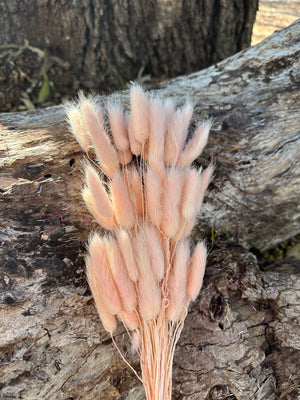 Bunny Tails/Pussy Tails - Soft Peachy Pink