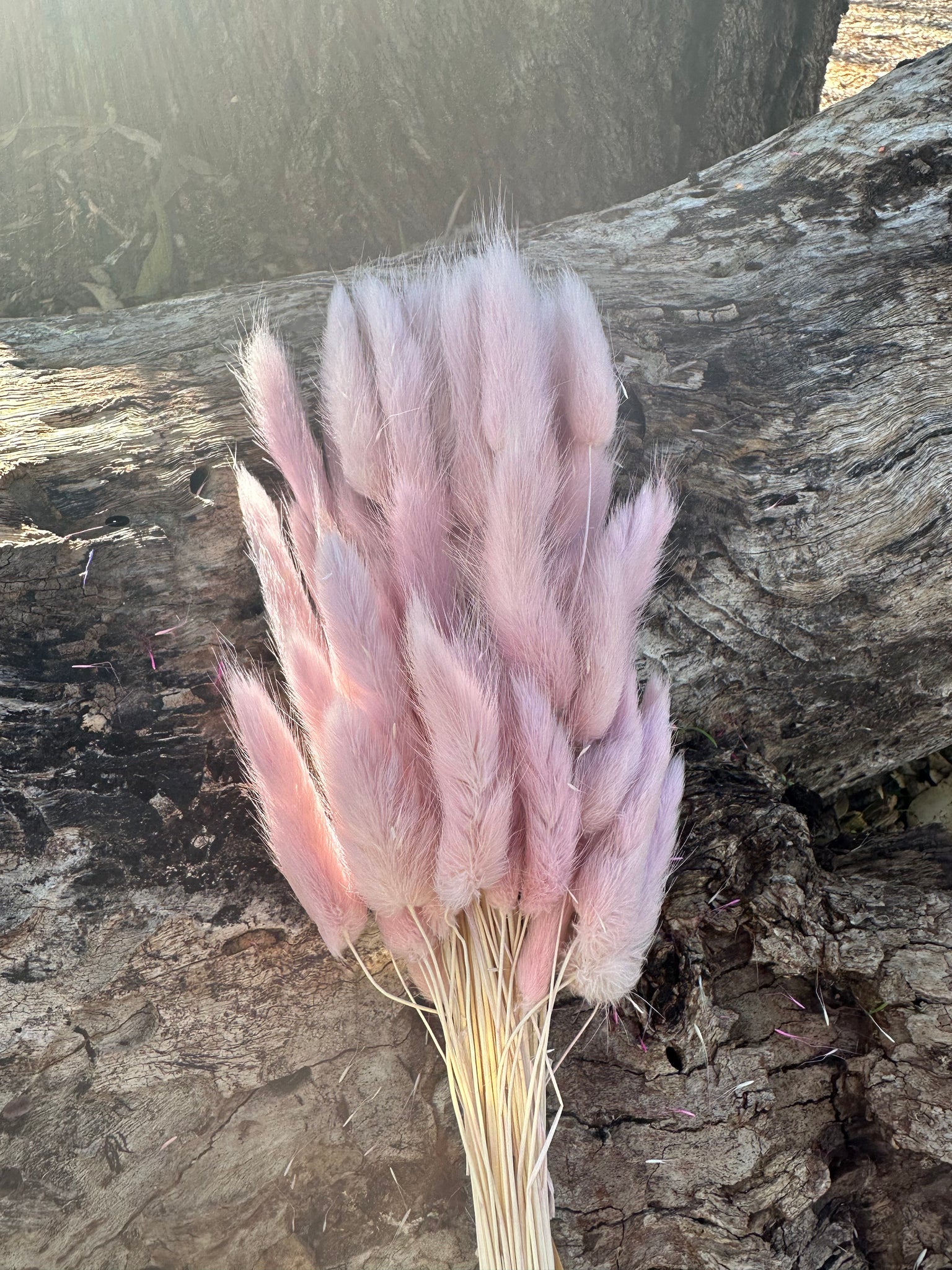 Bunny Tails/Pussy Tails - Pastel Pink