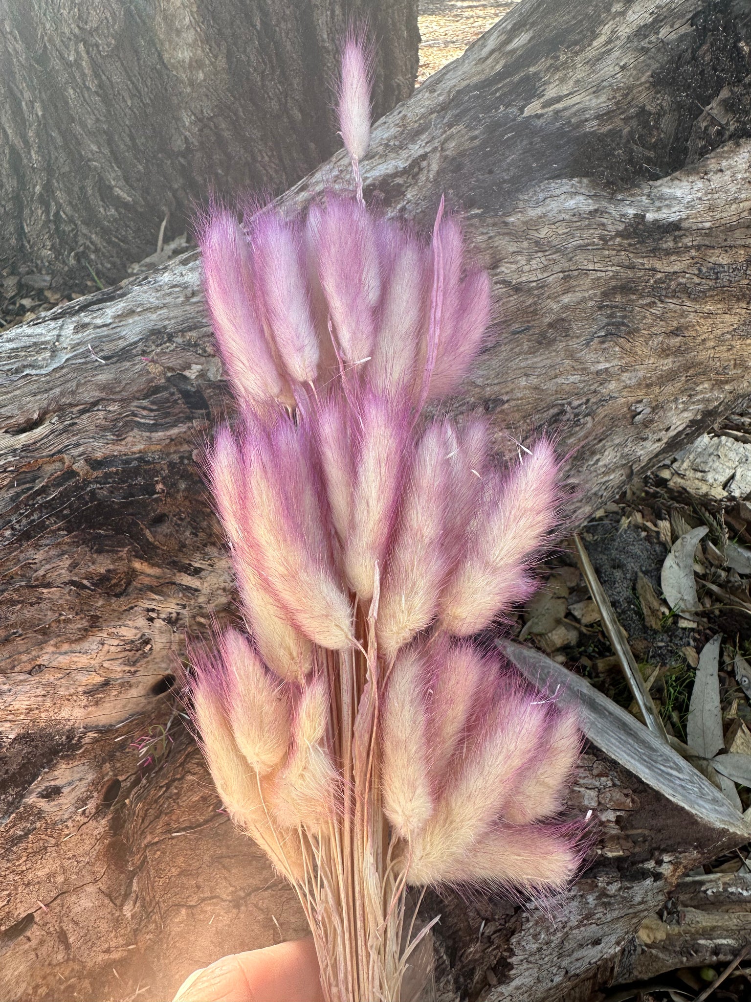 Bunny Tails/Pussy Tails -  Magenta Pink Ombré