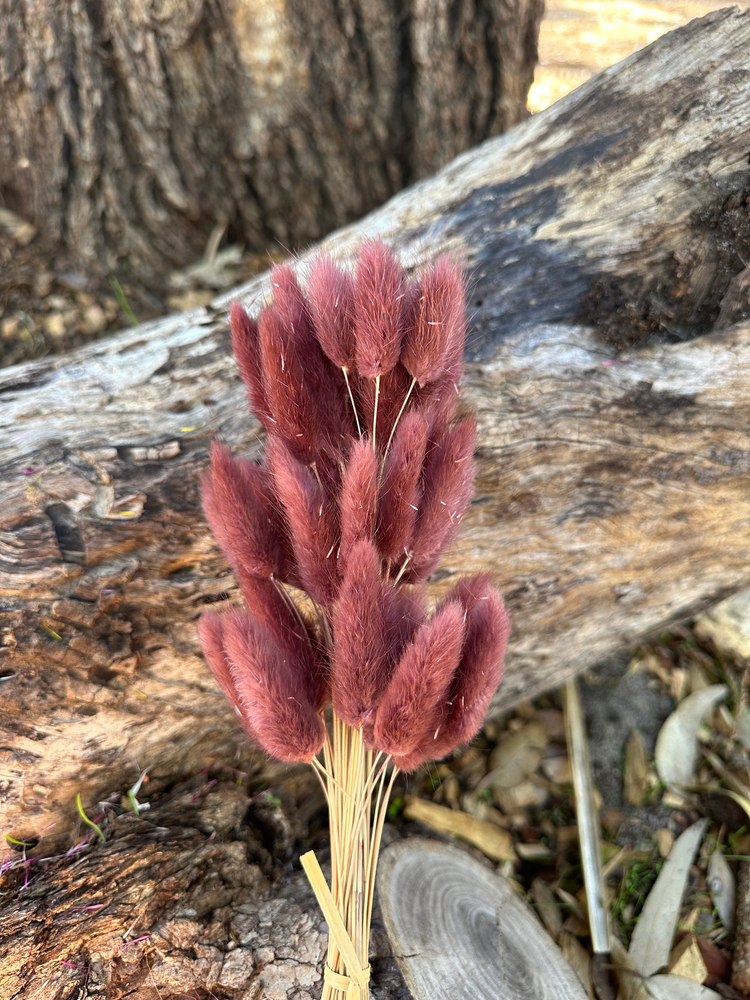 Bunny Tails/Pussy Tails - Dark Mocha Brown