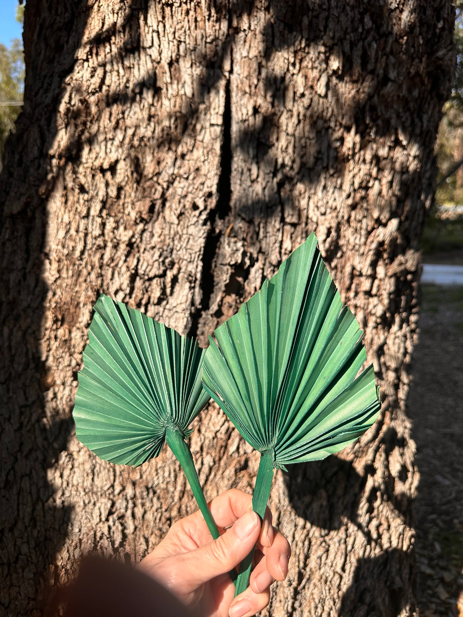 Palm  - Thin Stem Spear - Christmas Green - 1 Stem