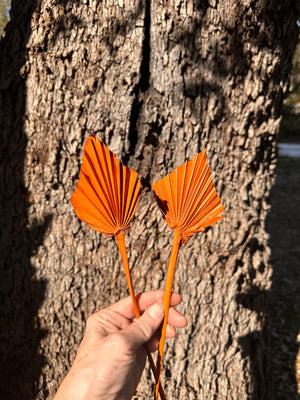 Palm - Mini Spear 5-7 cm - Burnt Orange - 1 stem