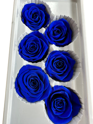 Roses Preserved - 6 pack - Sapphire Bluem