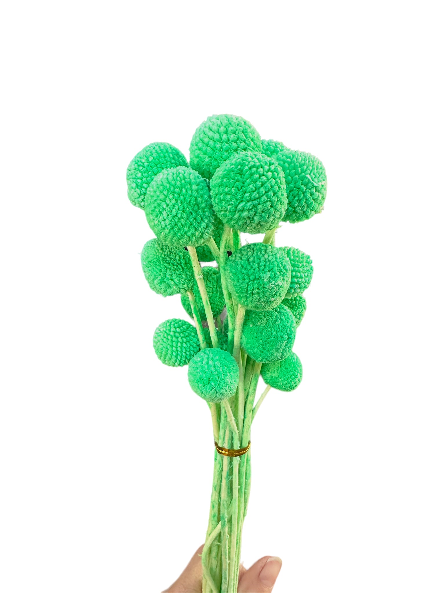 Billy Buttons - Mint Green