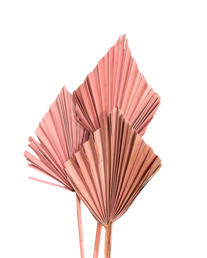 Palm - Thin Stem Spear - Dusty Pink Tones - 1 Stem