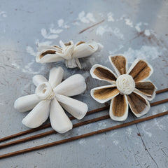 Handmade Flowers - Sola Flower Brown/White Daisy - 5cm