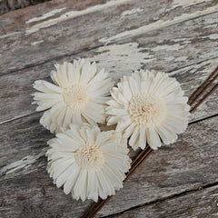 Handmade Flowers - Sola Flower White Gerbera - 8-9cm