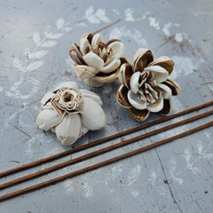 Handmade Flowers - Sola Flower Brown/White - 4cm