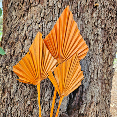 Palm - Thin Stem Spear - Burnt Orange Tones - 1 Stem