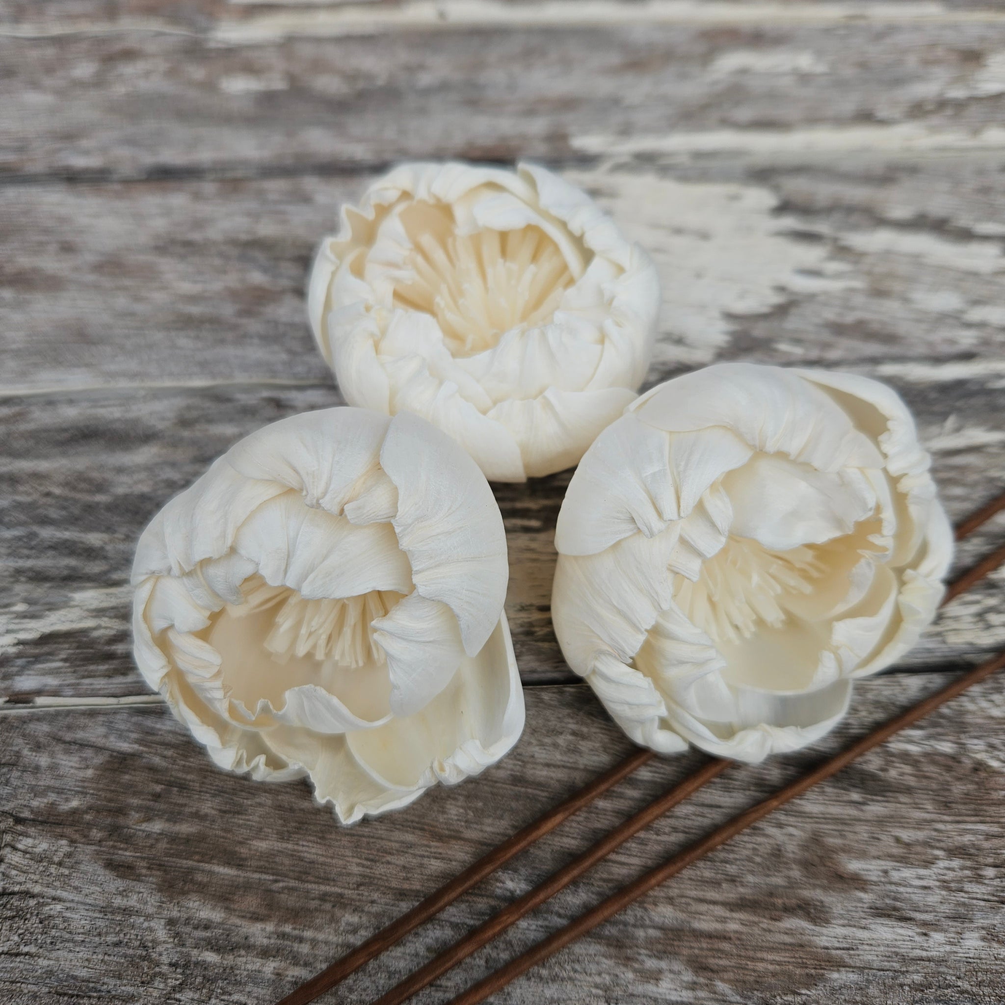 Handmade Flowers - Sola Flower White D - 5cm