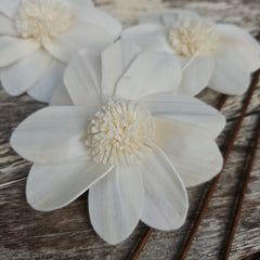 Handmade Flowers - Sola Flower White D  - 9cm