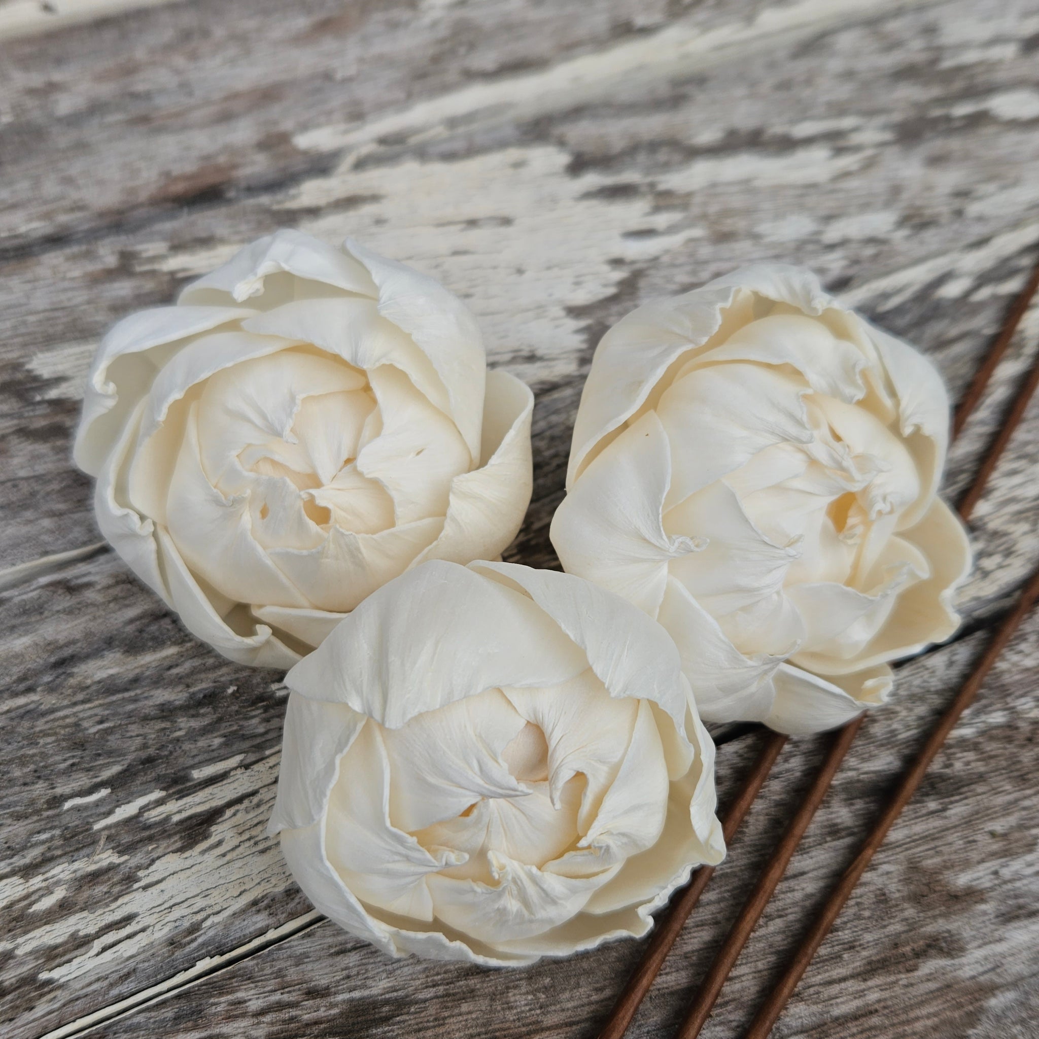 Handmade Flowers - Sola Flower White L - 6cm