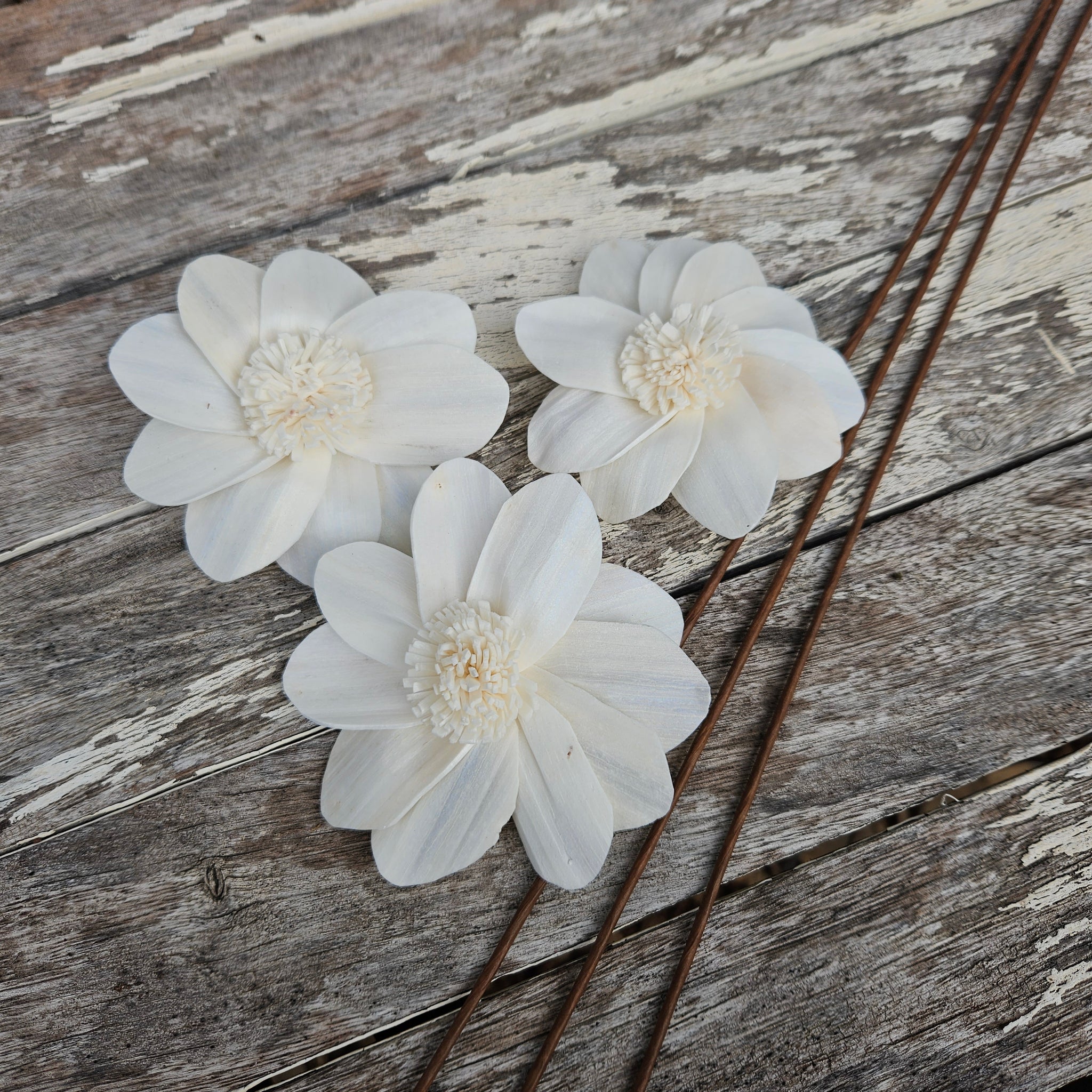 Handmade Flowers - Sola Flower White D  - 9cm