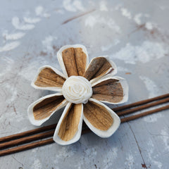 Handmade Flowers - Sola Flower Brown/White Daisy - 5cm