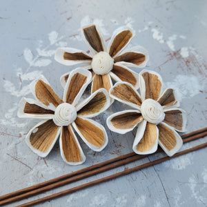 Handmade Flowers - Sola Flower Brown/White Daisy - 5cm