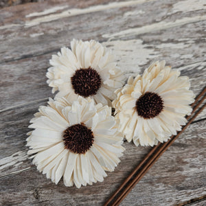 Handmade Flowers - Sola Flower White Gerbera Dark Centre - 8cm