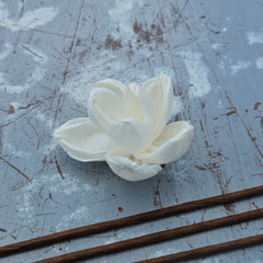 Handmade Flowers - Sola Flower White E - 3.5cm