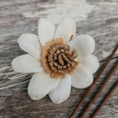 Handmade Flowers - Sola Flower White Beige Daisy - 7cm