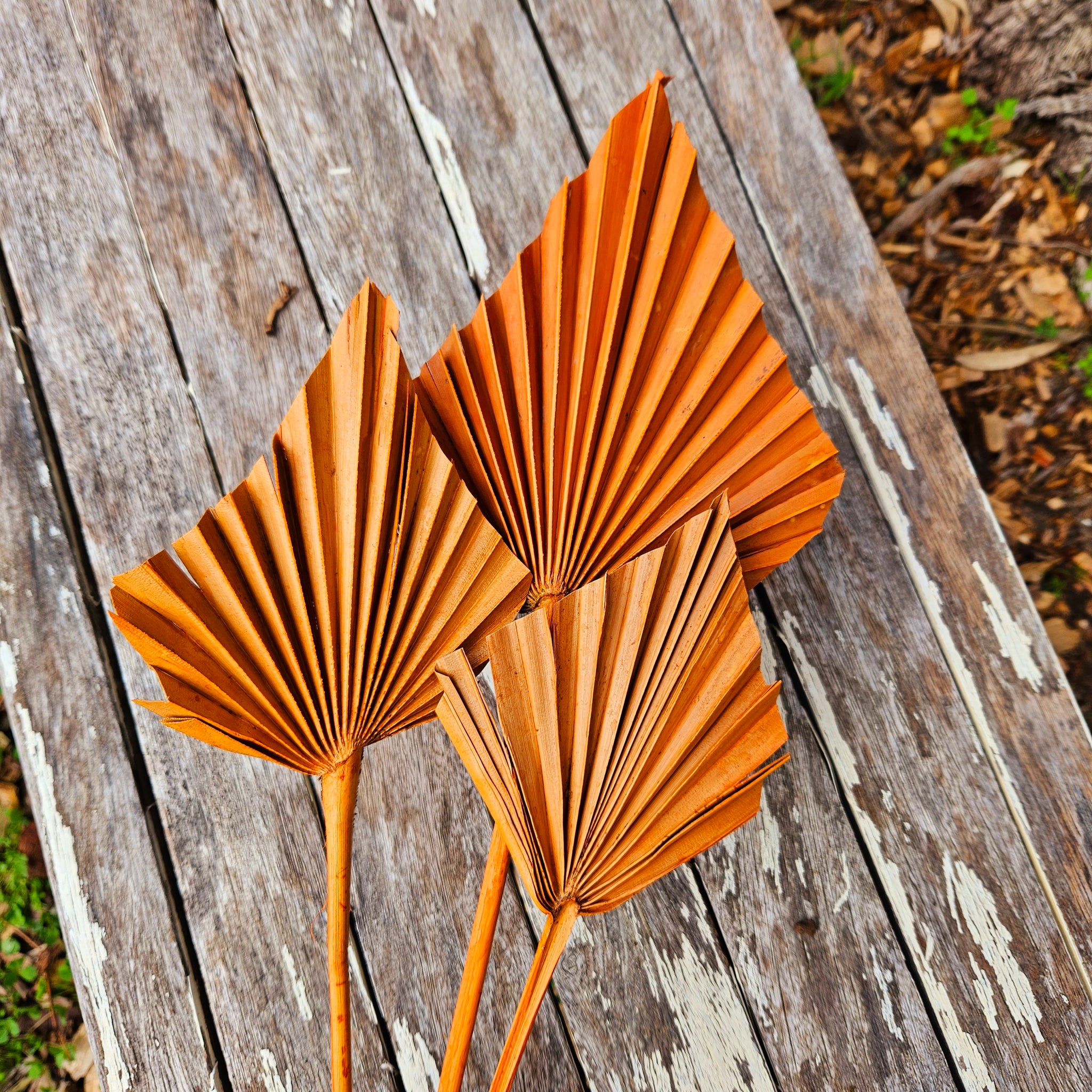 Palm - Thin Stem Spear - Burnt Orange Tones - 1 Stem