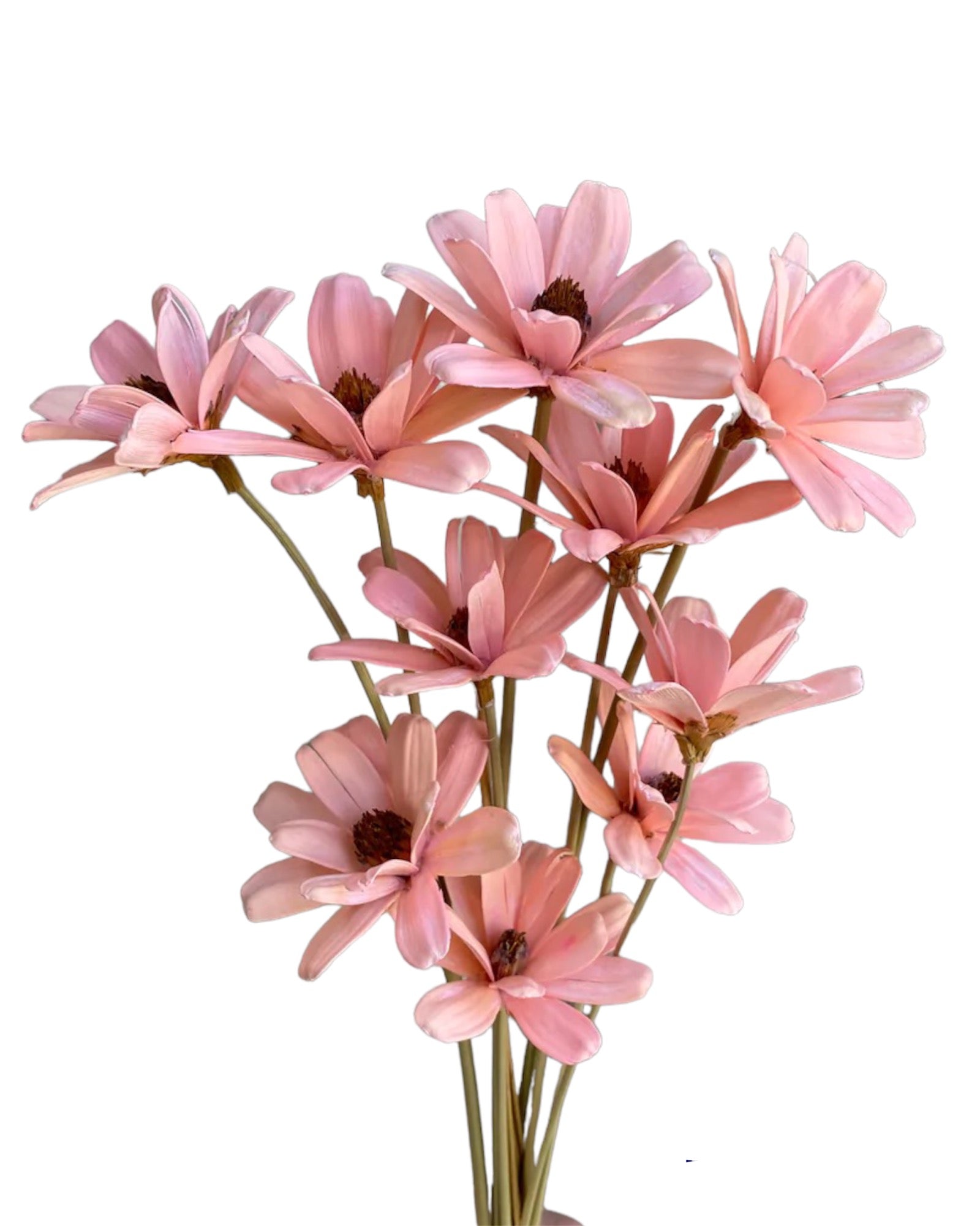 Handmade Daisies - Soft Pink