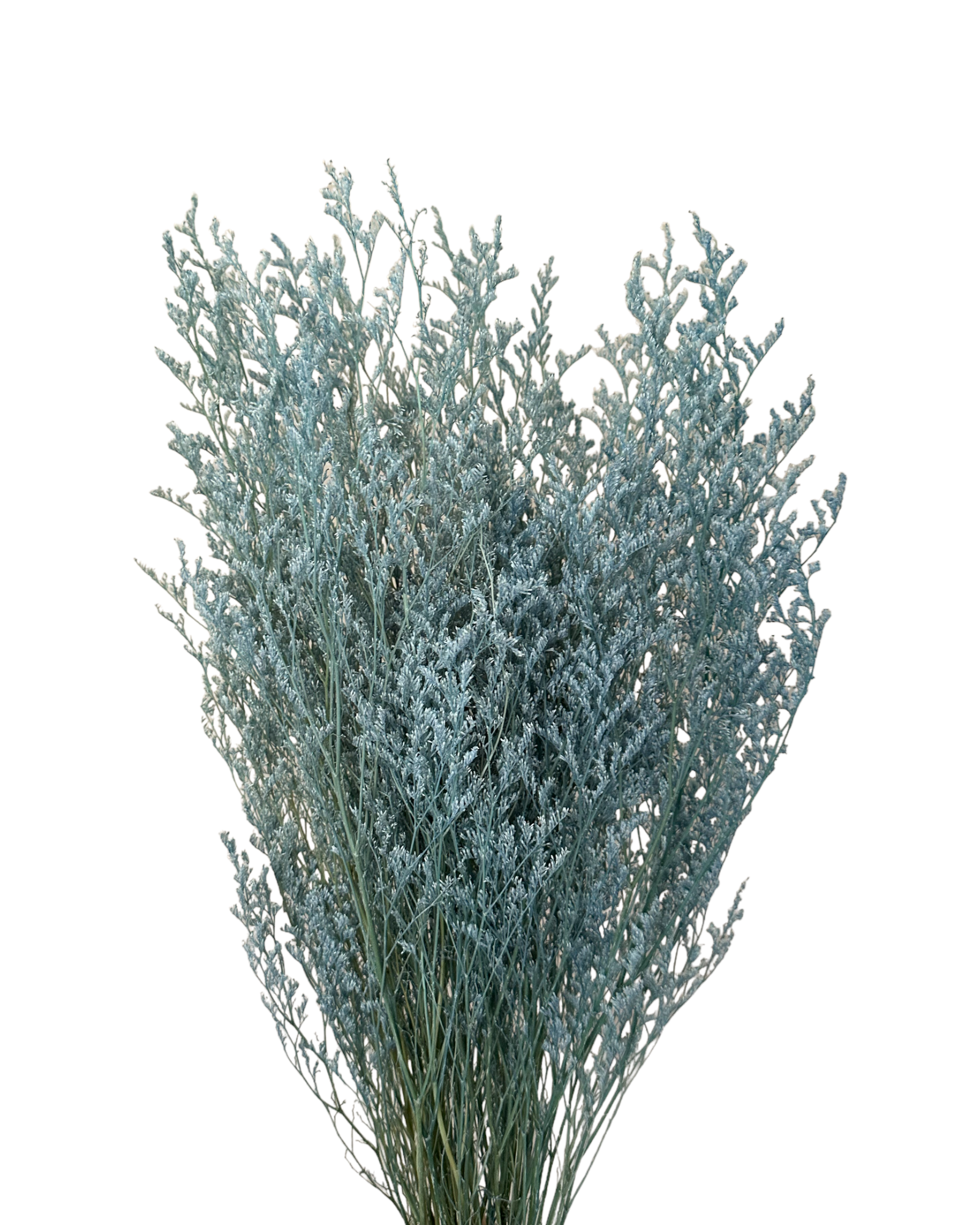 Limonium/Misty/Statice - Soft Dusty Blue