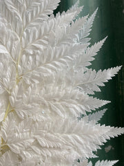 Fern - Leather Fern - White