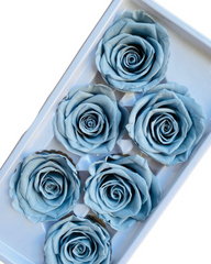 Roses Preserved - 6 pack - Soft Dusty Blue