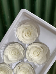 Roses Preserved - 6 pack - White