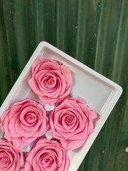 The Bargain Corner - Roses Preserved - 6 pack - Carnation Pink LAST ONE